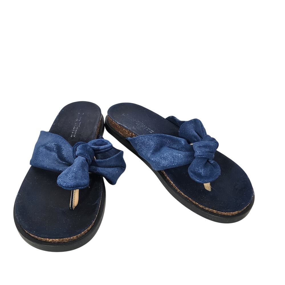 Ron White Womens Gayla Blue Metallic Leather Thong Slide Sandal Size 39 US 8.5 9